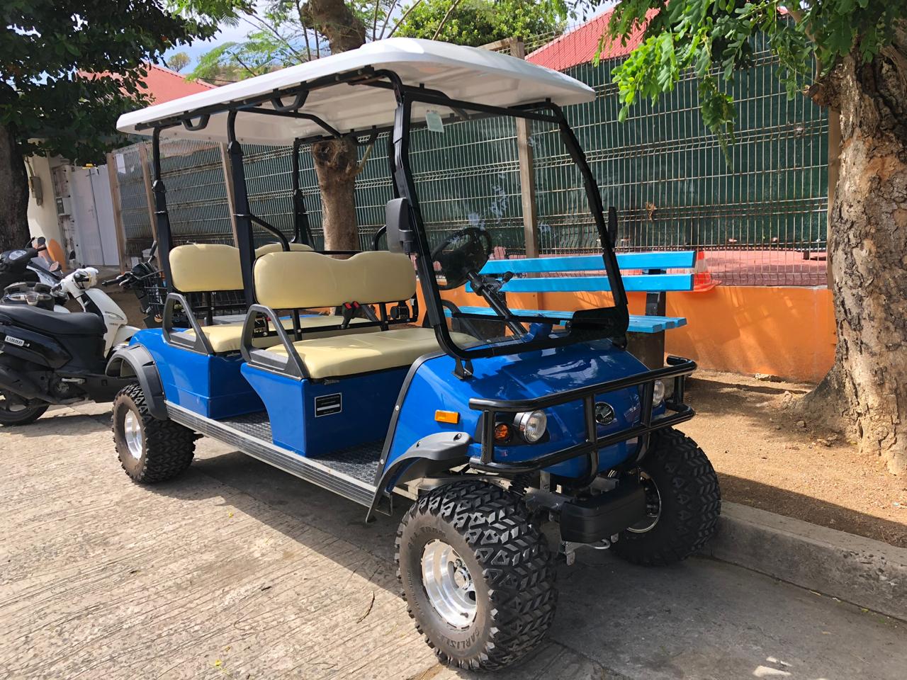 Location Loic Voiturettes Electriques 2 places / Journée La